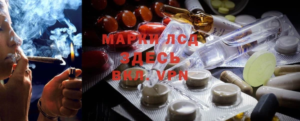 СК Туринск