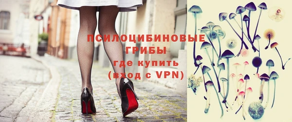 СК Туринск
