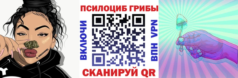 Псилоцибиновые грибы Cubensis Нижняя Салда